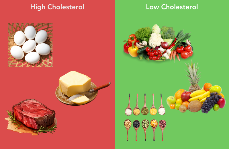 Triglycerides LDL Cholesterol