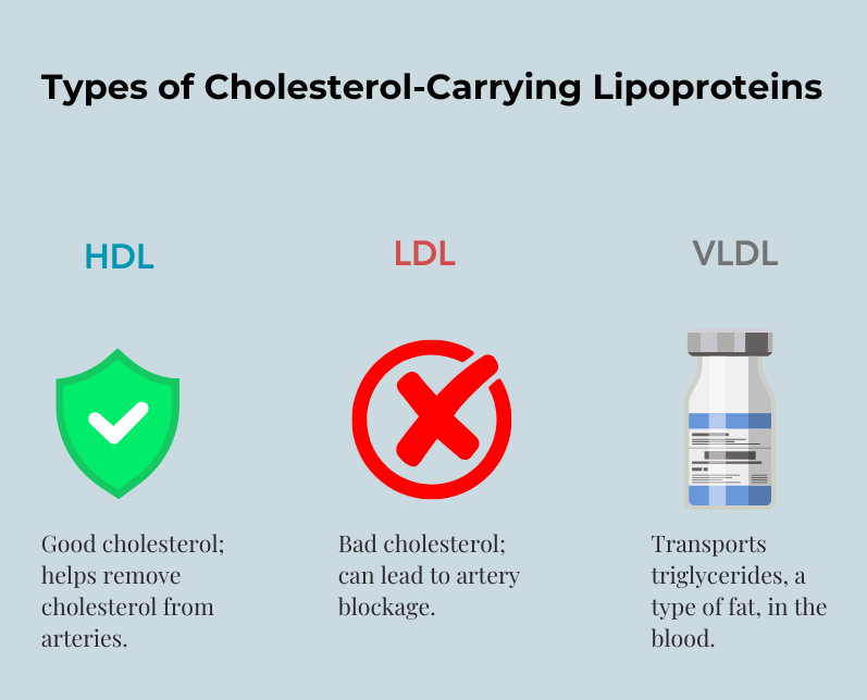 Types of Cholesterol HBL LDL VLDL ldl c