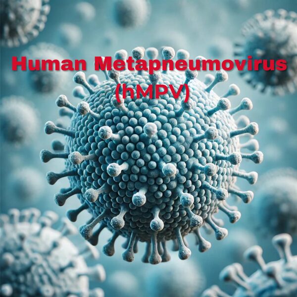 Human Metapneumovirus (hMPV):